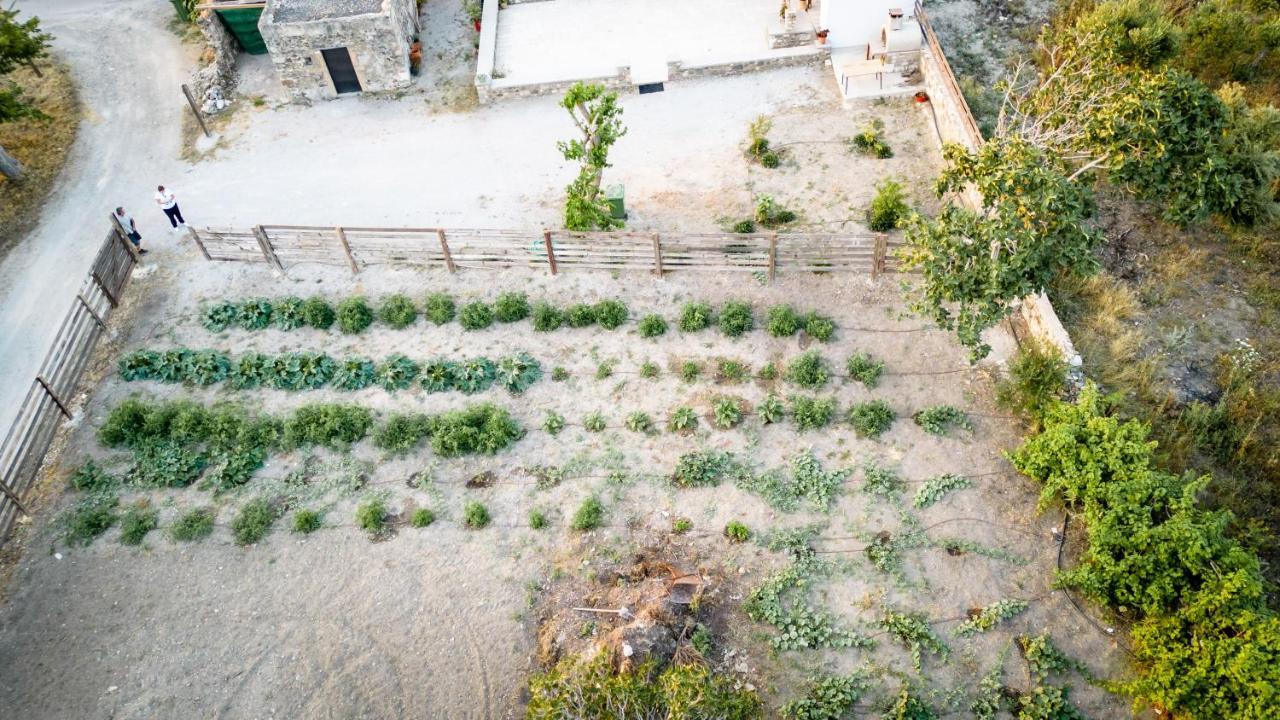 Paradisi Stone House Kos Town Ngoại thất bức ảnh